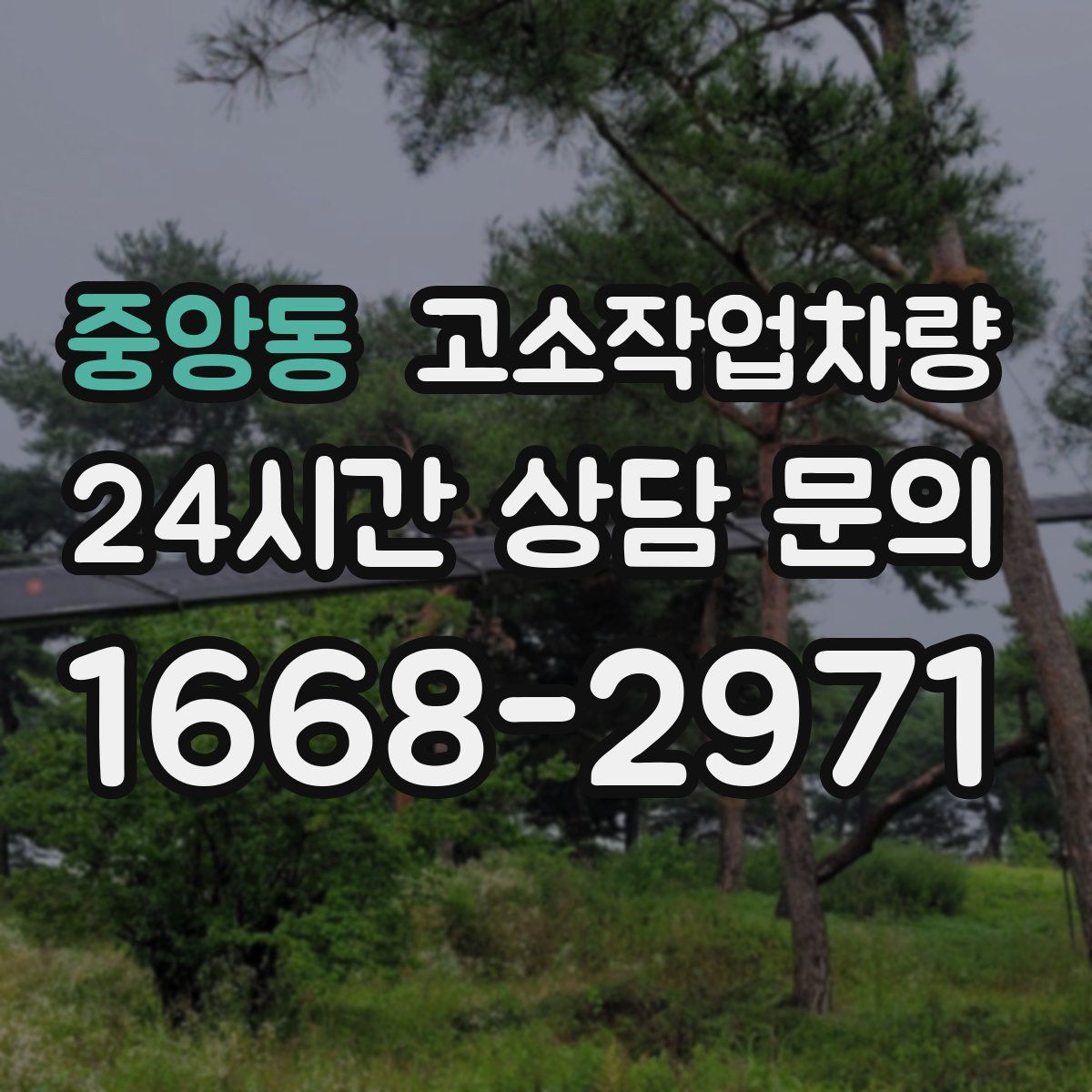 중앙동 고소작업차량