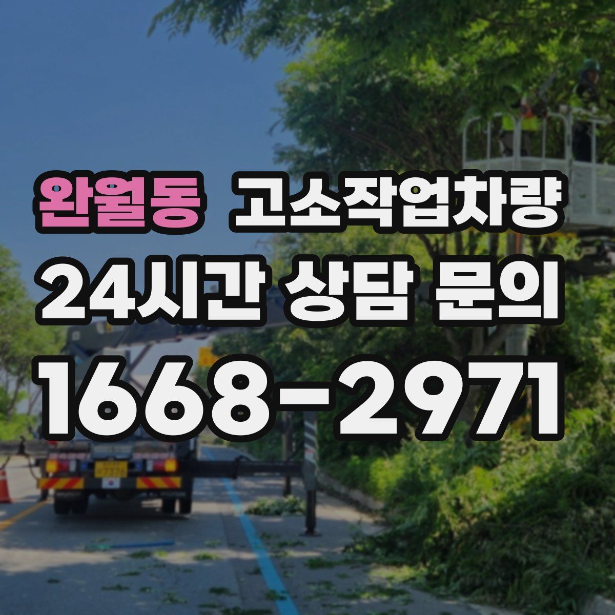 완월동 고소작업차량