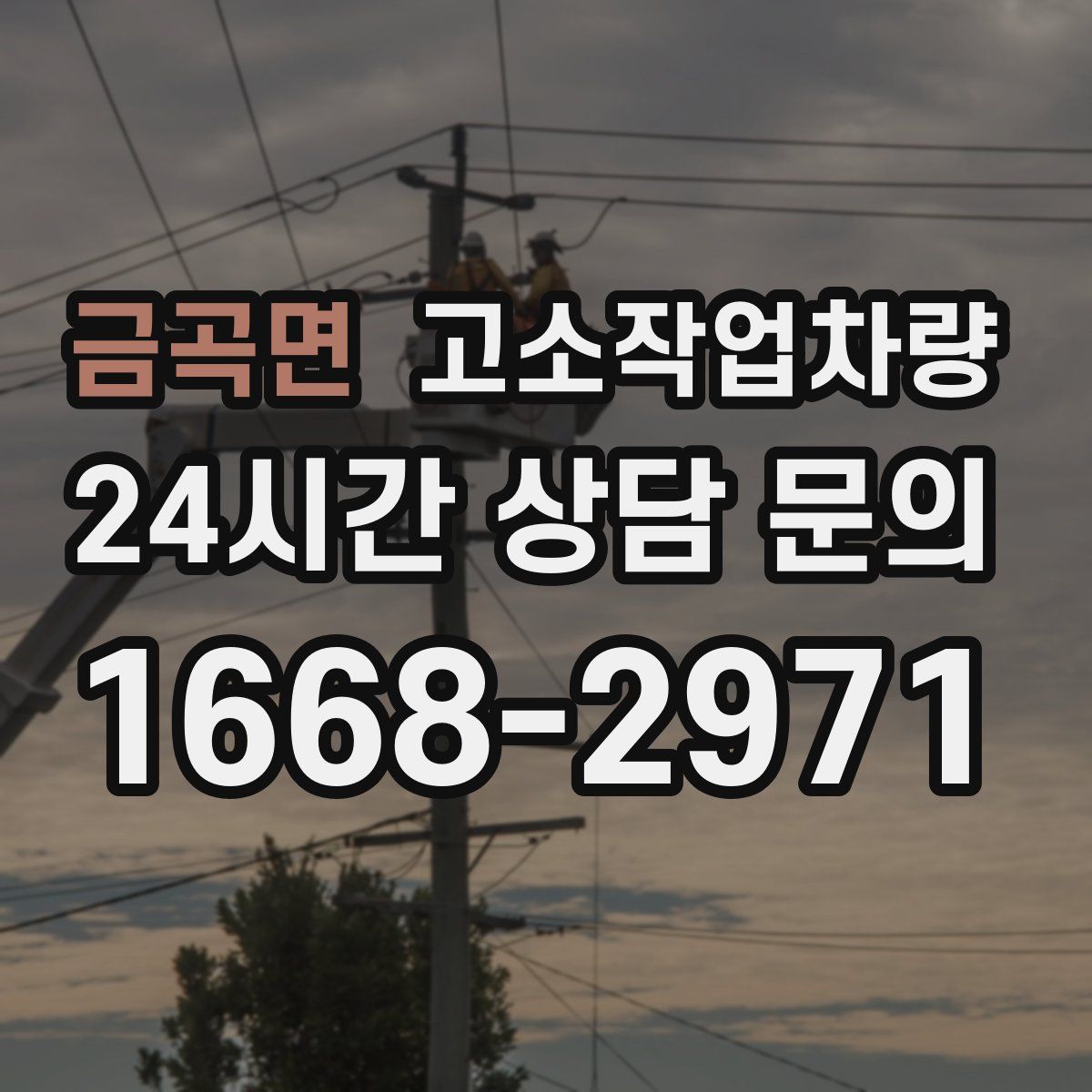 금곡면 고소작업차량