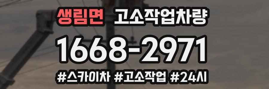 생림면 고소작업차량