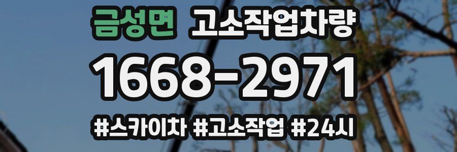 금성면 고소작업차량
