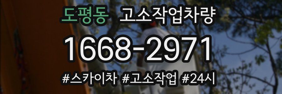 도평동 고소작업차량