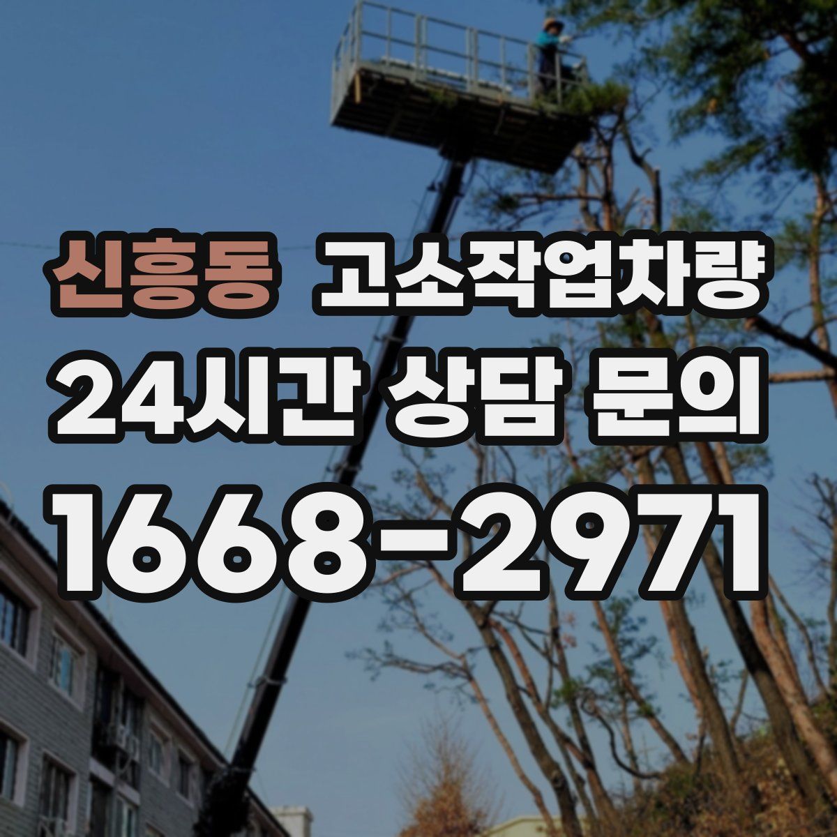 신흥동 고소작업차량
