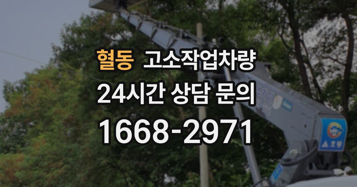 혈동 고소작업차량