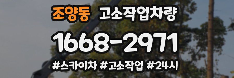 조양동 고소작업차량