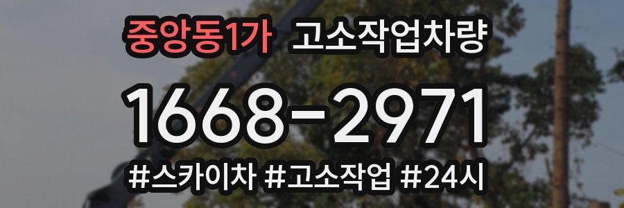 중앙동1가 고소작업차량