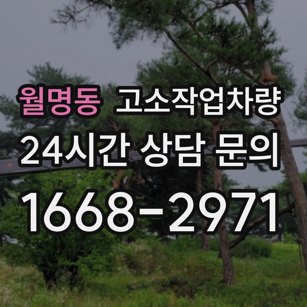 월명동 고소작업차량