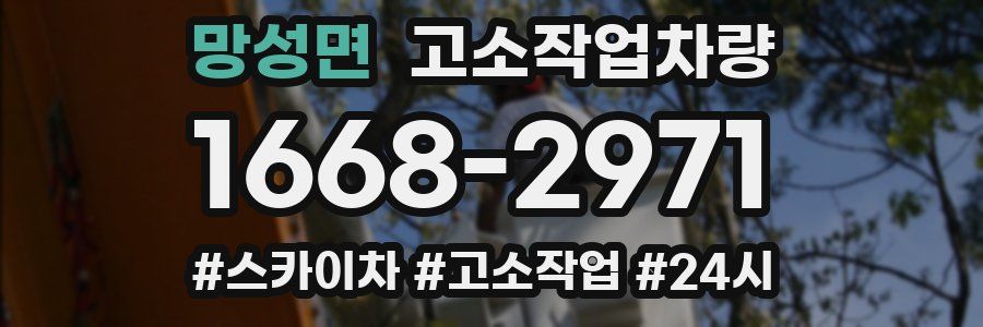 망성면 고소작업차량
