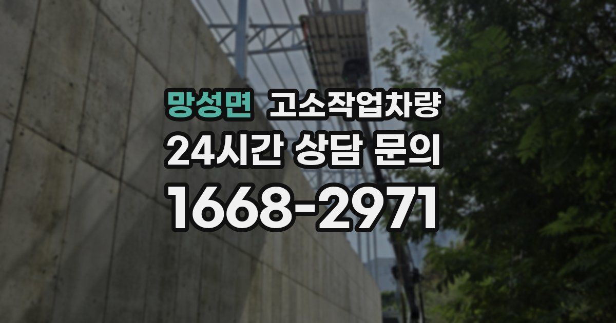 망성면 고소작업차량