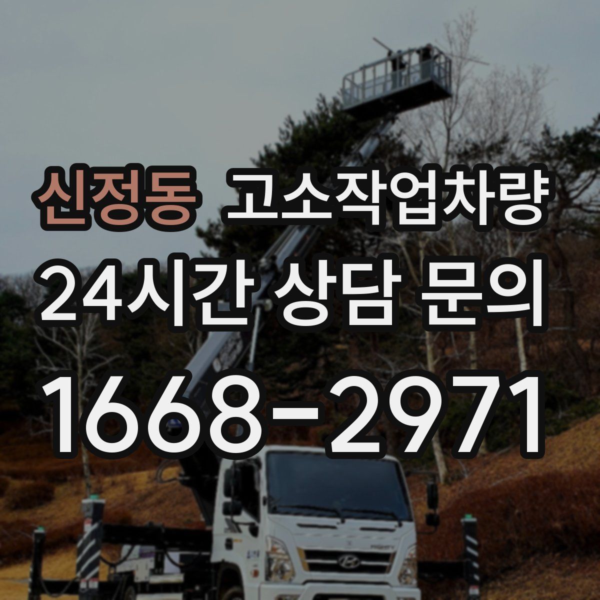신정동 고소작업차량