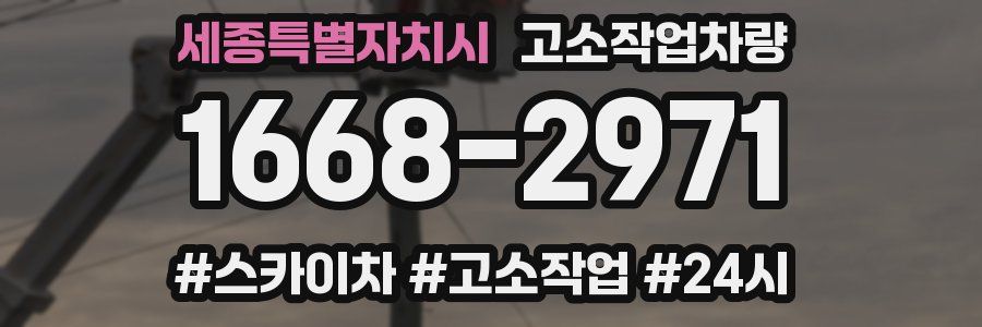 세종특별자치시 고소작업차량