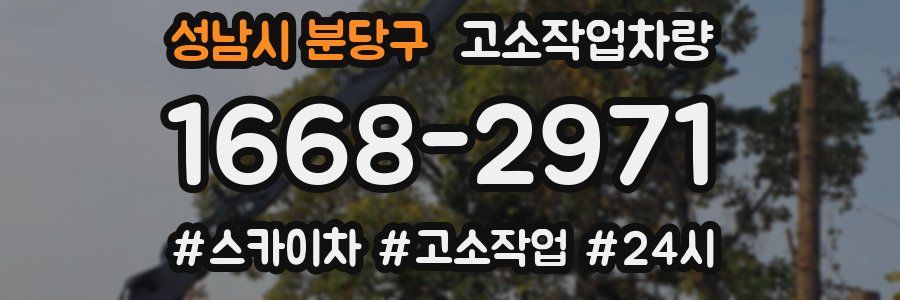 성남시 분당구 고소작업차량