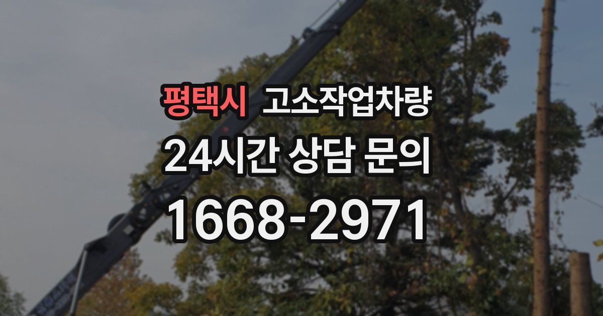평택시 고소작업차량