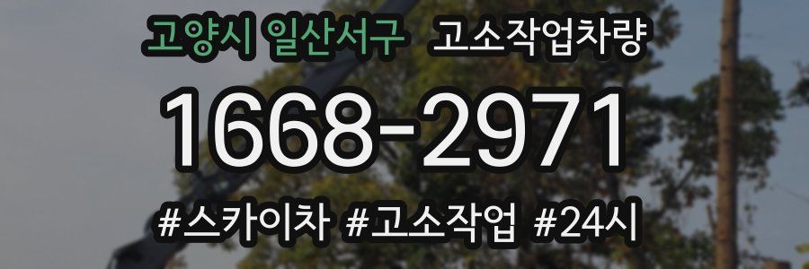 고양시 일산서구 고소작업차량