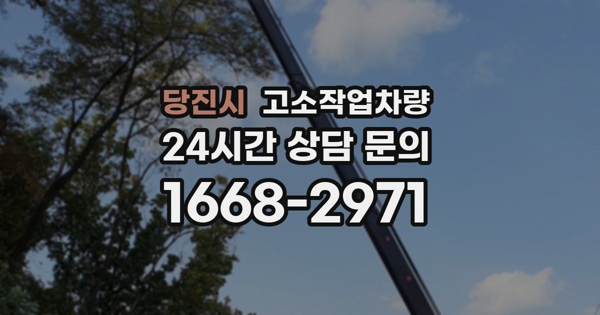 당진시 고소작업차량