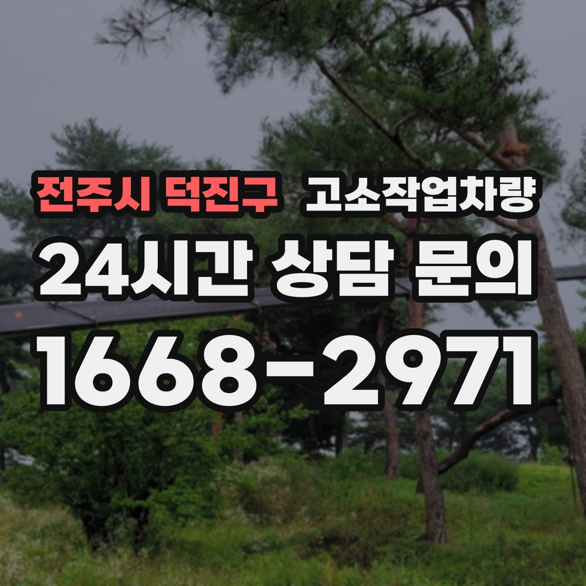 전주시 덕진구 고소작업차량