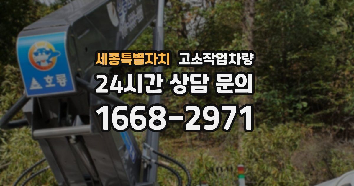 세종특별자치 고소작업차량