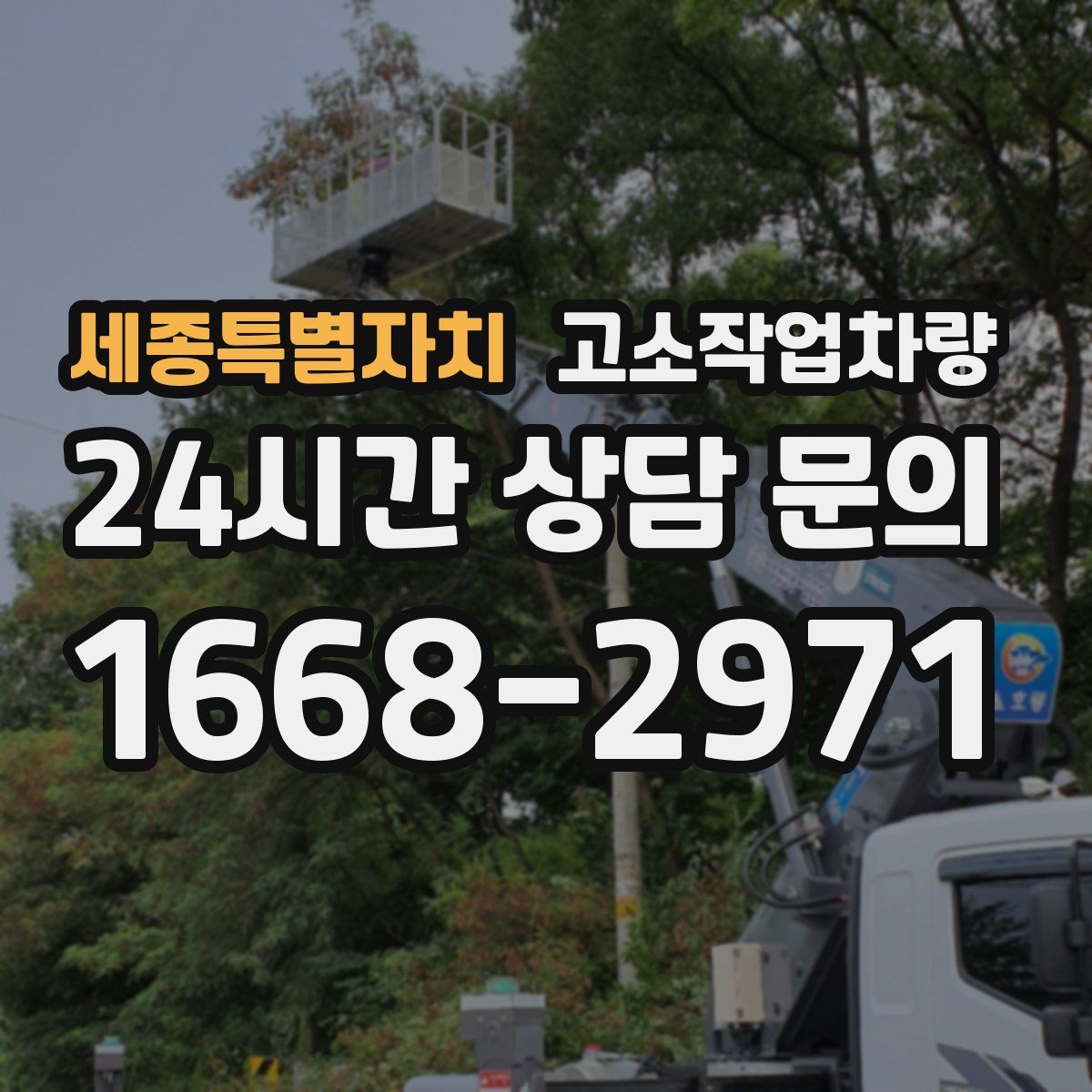세종특별자치 고소작업차량