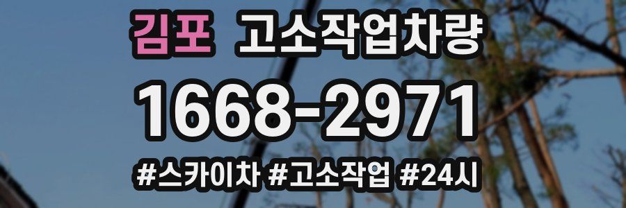 김포 고소작업차량