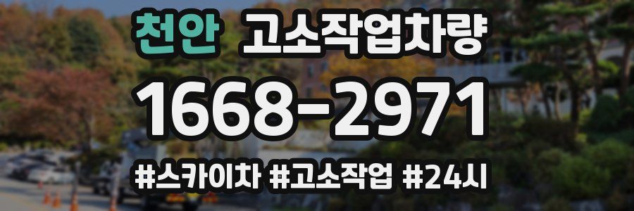 천안 고소작업차량