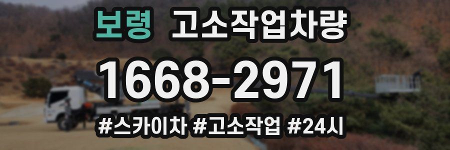 보령 고소작업차량
