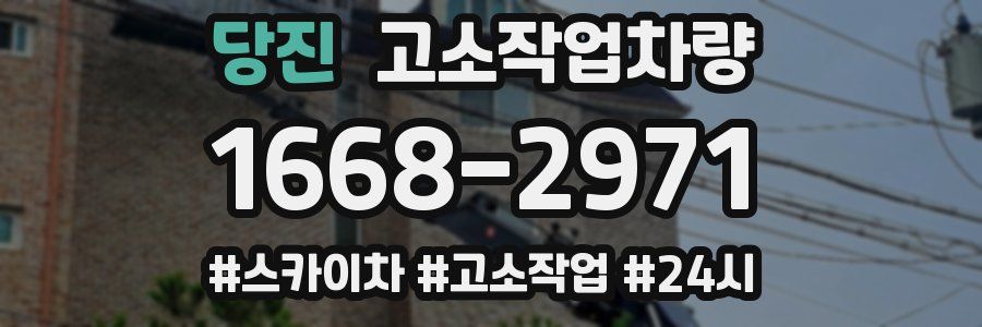 당진 고소작업차량