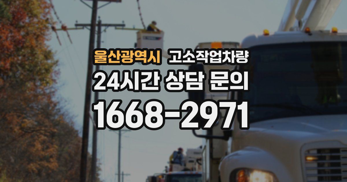 울산광역시 고소작업차량