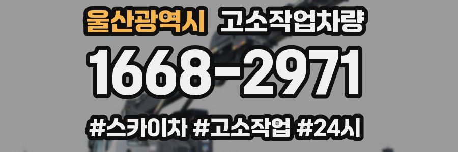 울산광역시 고소작업차량