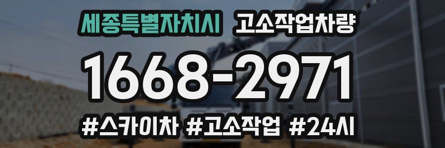 세종특별자치시 고소작업차량