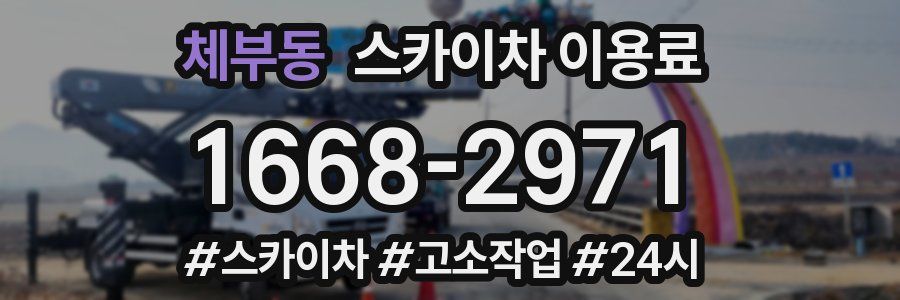 체부동 스카이차 이용료