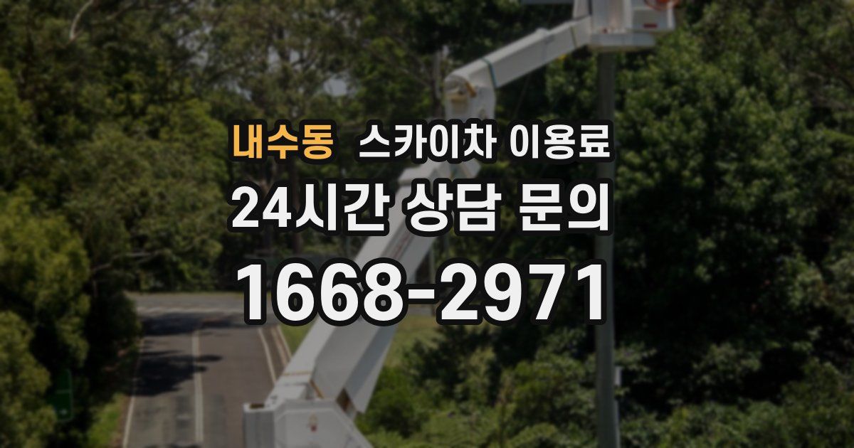 내수동 스카이차 이용료
