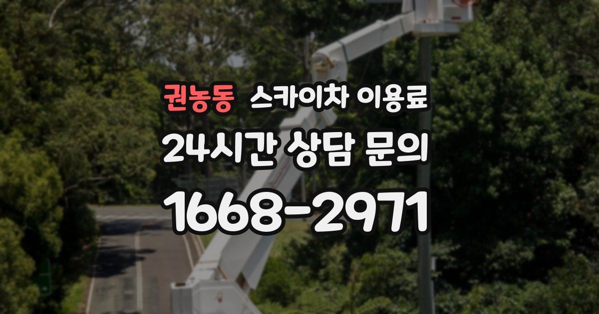 권농동 스카이차 이용료