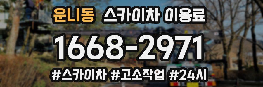 운니동 스카이차 이용료