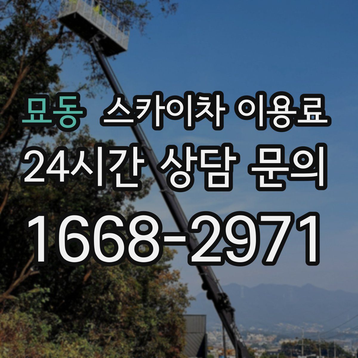 묘동 스카이차 이용료