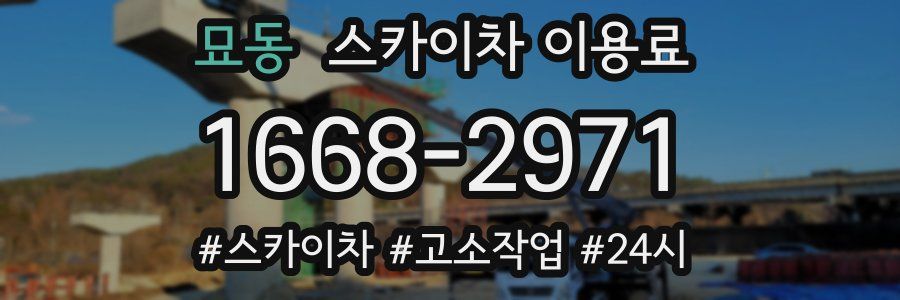 묘동 스카이차 이용료