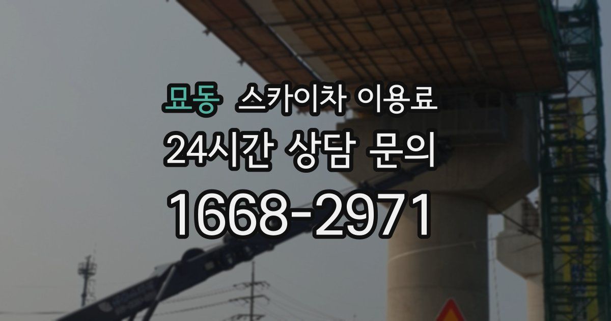묘동 스카이차 이용료