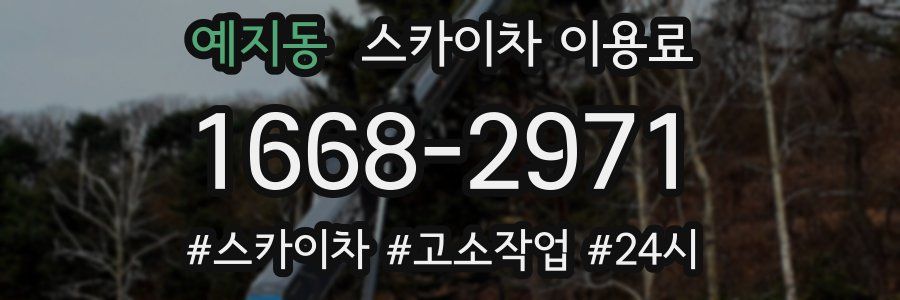 예지동 스카이차 이용료