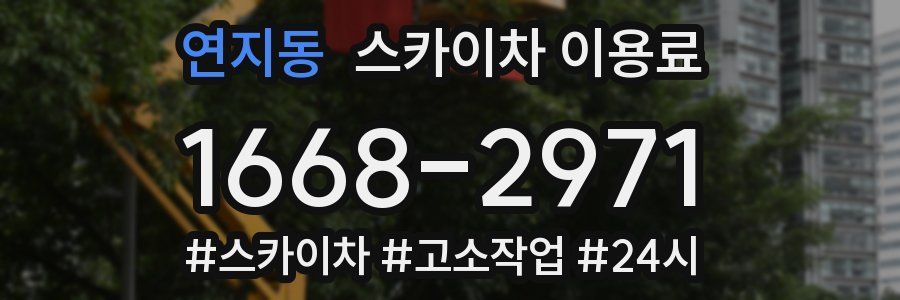 연지동 스카이차 이용료