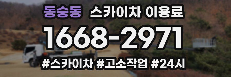 동숭동 스카이차 이용료
