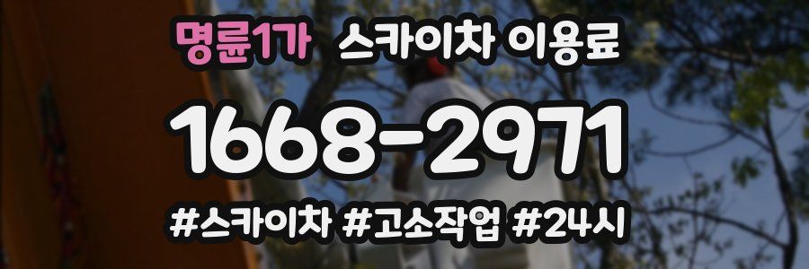 명륜1가 스카이차 이용료