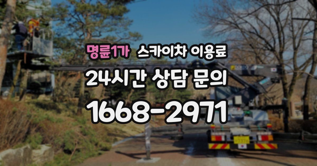명륜1가 스카이차 이용료