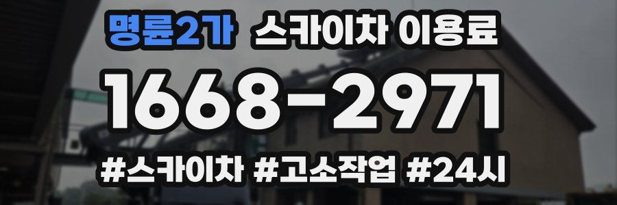 명륜2가 스카이차 이용료