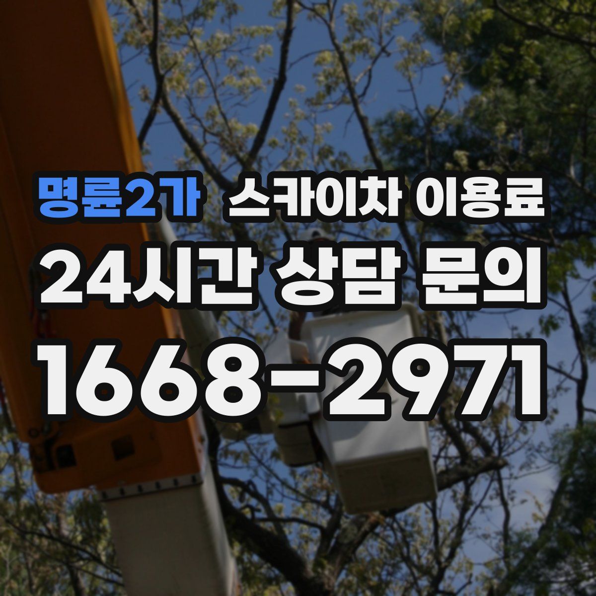 명륜2가 스카이차 이용료
