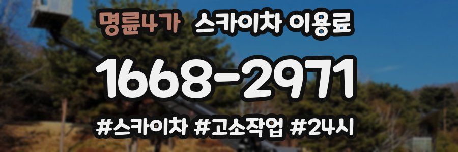 명륜4가 스카이차 이용료
