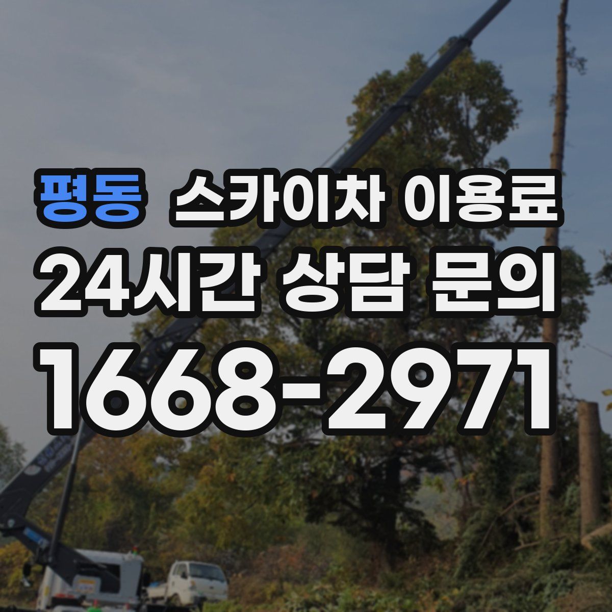평동 스카이차 이용료