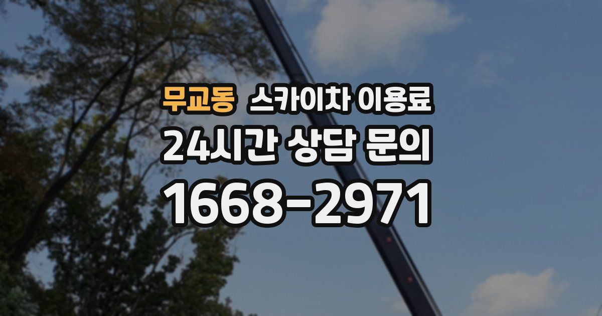 무교동 스카이차 이용료