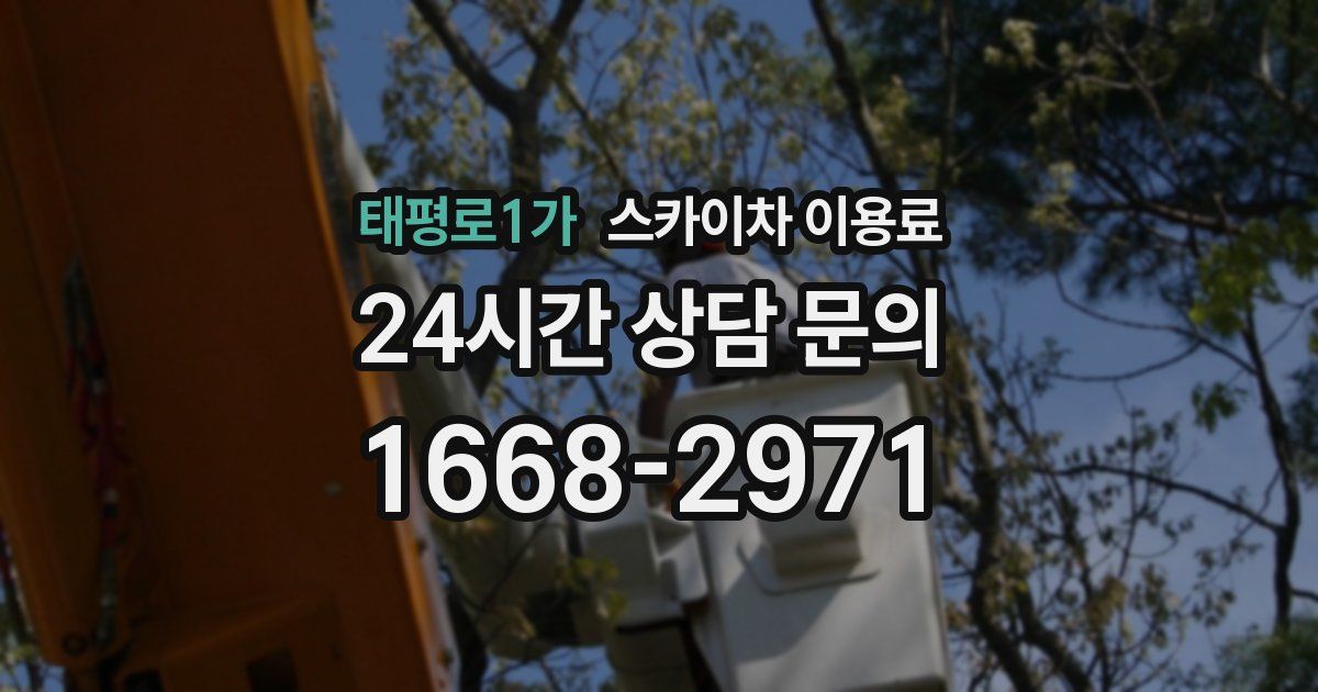 태평로1가 스카이차 이용료