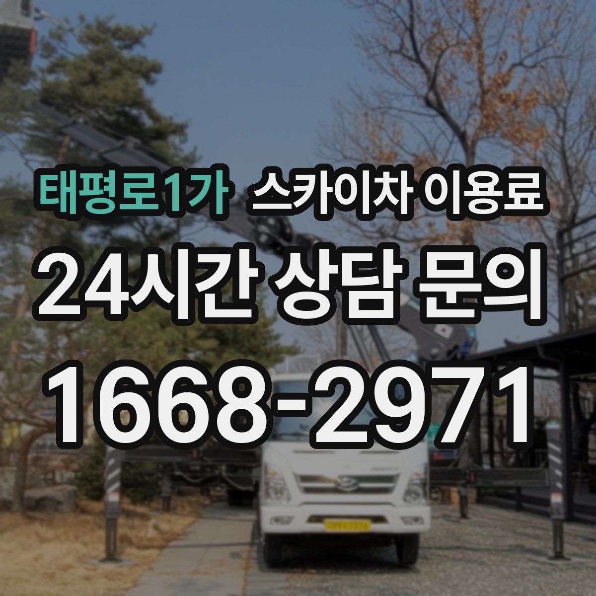 태평로1가 스카이차 이용료