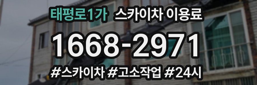태평로1가 스카이차 이용료