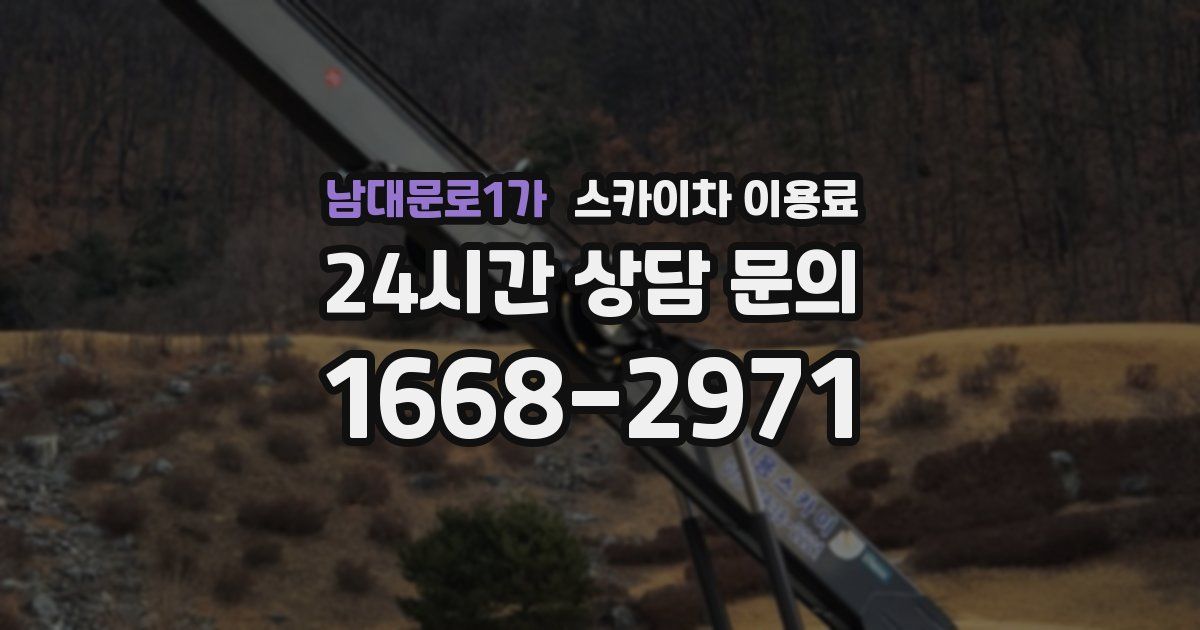 남대문로1가 스카이차 이용료